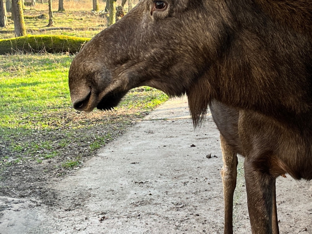 23-02-13 14-27-10 4221